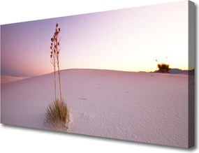 Obraz canvas Piaszczyste Wydmy Pustyni