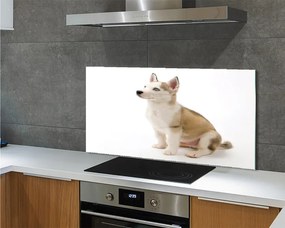 Panel szklany do Kuchni Mały Szczeniak w Pozycji Siedzącej