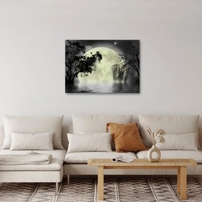 Obraz - Księżyc w pełni nad powierzchnią, wersja czarno - biała (70x50 cm)