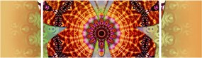 Obraz - Etno motyl (170x50 cm)
