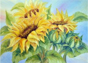 Obraz kwitnących słoneczników (70x50 cm)