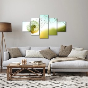 Obraz - Dmuchawiec na wietrze (125x70 cm)