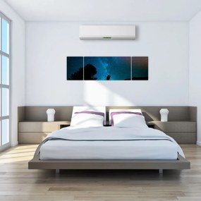 Obraz - Spotkanie pod gwiazdami (170x50 cm)