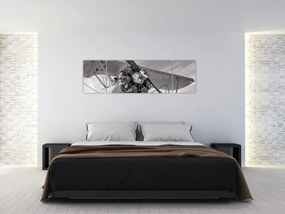 Obraz - Samolot (170x50 cm)