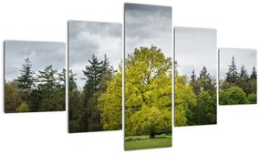 Obraz zielonego drzewa na środku pola (125x70 cm)