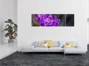 Obraz kwiatu (170x50 cm)