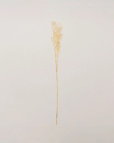 Gałązka Frostbloom ecru 80 cm