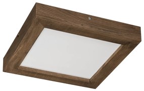 Brilagi-Ściemnialne oświetlenie LED WOODY FRAME LED/24W/230V dąb 30x30 cm IP44 + pilot