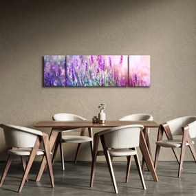 Obraz - Lawenda w słońcu (170x50 cm)