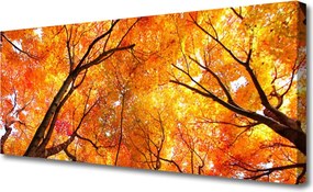 Obraz na płótnie Gęsty Las Liściasty