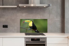 Panel Szklany Kolorowa papuga na gałęzi