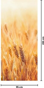 Fototapeta na drzwi - Pole ze zbożem (95x205cm)