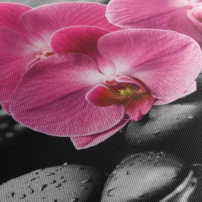 Obraz - Różowe orchidee (z zegarem) (90x30 cm)