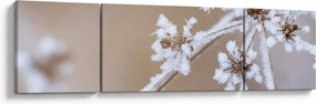 Obraz - Mróz (170x50 cm)