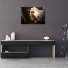 Obraz sowy palonej (70x50 cm)