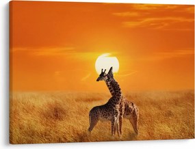 Obraz - Żyrafy w Parku Narodowym Serengeti (70x50 cm)