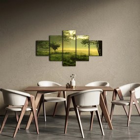 Obraz - Budzący się las (125x70 cm)