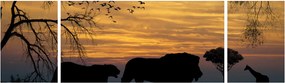 Obraz Safari (170x50 cm)