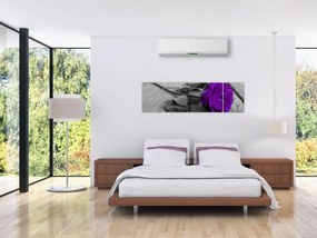 Obraz - Fioletowa róża z zieloną łodygą (170x50 cm)