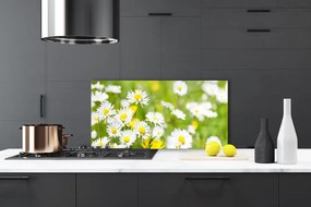 Panel Szklany do Kuchni Urok Polnej Stokrotki