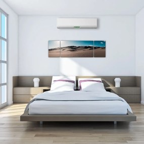 Obraz - Z pustyni (170x50 cm)