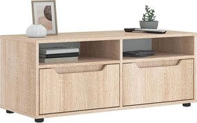 Mebel TV VISNES Dąb Sonoma 100x40x38 cm Drewno Inżynieryjne z Przechowywaniem i Montażem na Ścianie