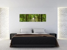 Obraz - Most wiszący (170x50 cm)