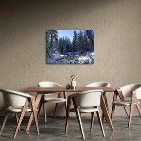 Obraz śnieżnego lasu (70x50 cm)