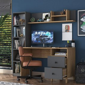 Biurko Hapem Walnut and Anthracite