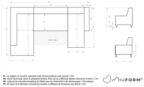 Jasnoszara rozkładana sofa w kształcie litery "U" Miuform Dazzling Daisy, prawostronna