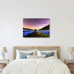 Obraz na szkle - kolorowe pole (70x50 cm)