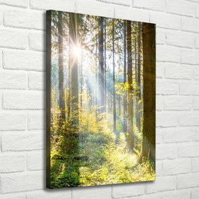 Foto obraz canvas pionowy Słońce w lesie