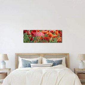 Obraz pola maków (z zegarem) (90x30 cm)