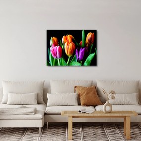 Obraz na szkle tulipanów na czarnym tle (70x50 cm)