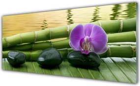 Panel Kuchenny Harmonijny Bambus I Kwiaty