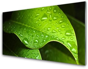 Panel Kuchenny Rosa Krople Liść