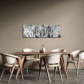 Obraz - Zmarznięte liście, czarno - biały (z zegarem) (90x30 cm)