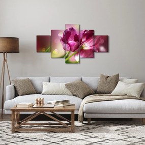 Obraz różowych tulipanów (125x70 cm)