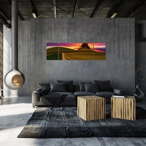 Obraz pola z zachodem słońca (170x50 cm)