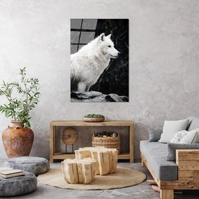 Szklany obraz 70x100 cm White Wolf – Wallity