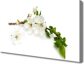 Obraz na płótnie Kwitnąca Gałązka Natury