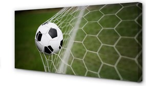 Obraz na płótnie Klasyczna Piłka Na Trawie