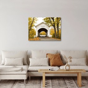 Obraz mostu w Oregonie (70x50 cm)