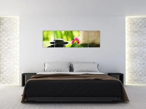 Obraz narzędzi do masażu (170x50 cm)