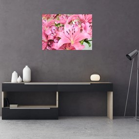 Obraz - Różowe lilie (70x50 cm)