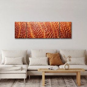 Obraz - Szczegóły tekstury (170x50 cm)