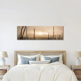 Obraz - Nagie drzewa (170x50 cm)