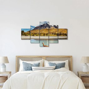 Obraz - Park Narodowy Torres del Paine (125x70 cm)