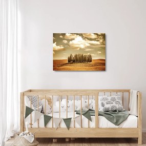 Obraz na szkle leśnej łąki (70x50 cm)