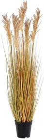 Sztuczna trawa (wysokość 110 cm) Sorghum – House Nordic